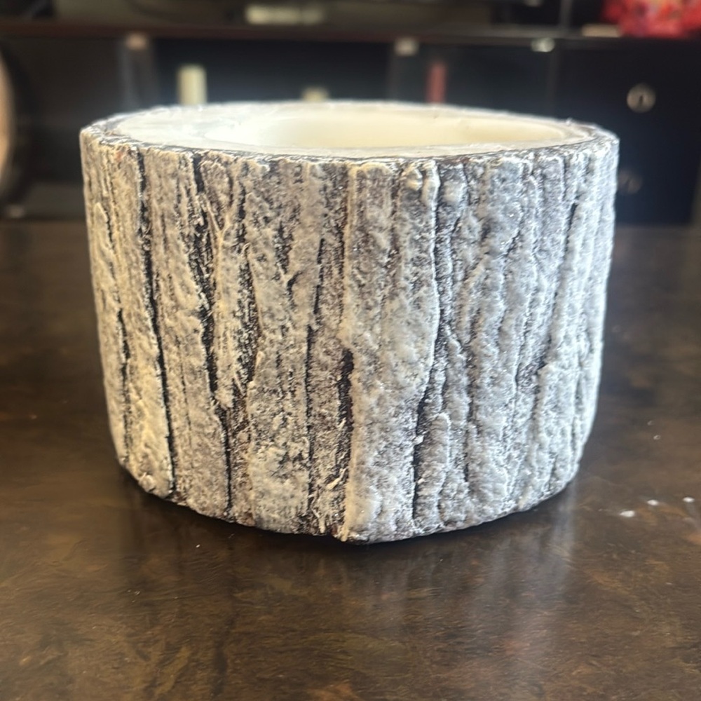 Pottery Barn Metallic Bark Candle